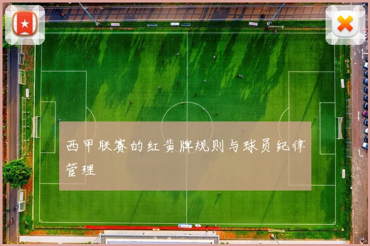 西甲联赛的红黄牌规则与球员纪律管理